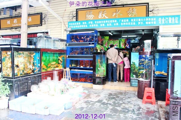 nEO_IMG_��Ƭ 159.jpg