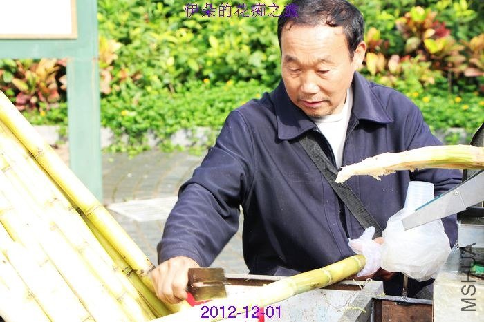 nEO_IMG_��Ƭ 163.jpg