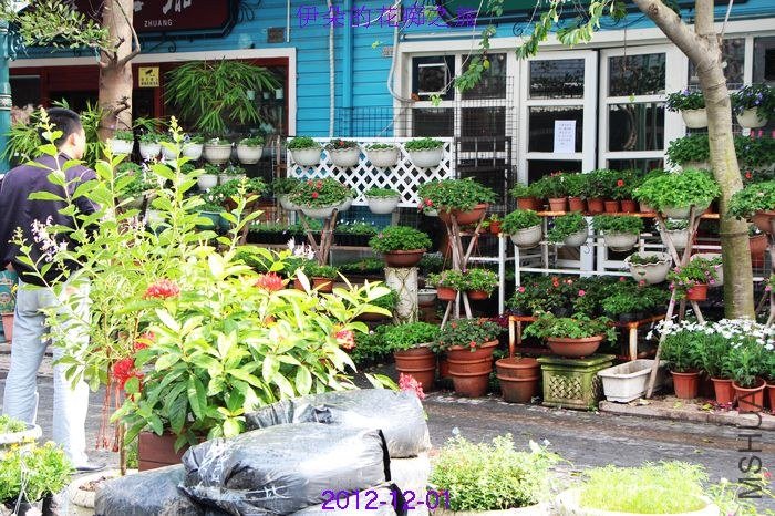 nEO_IMG_��Ƭ 149.jpg