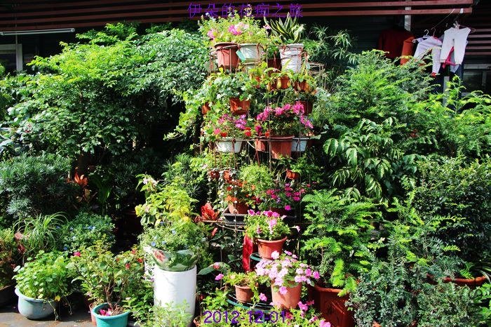 nEO_IMG_��Ƭ 155.jpg