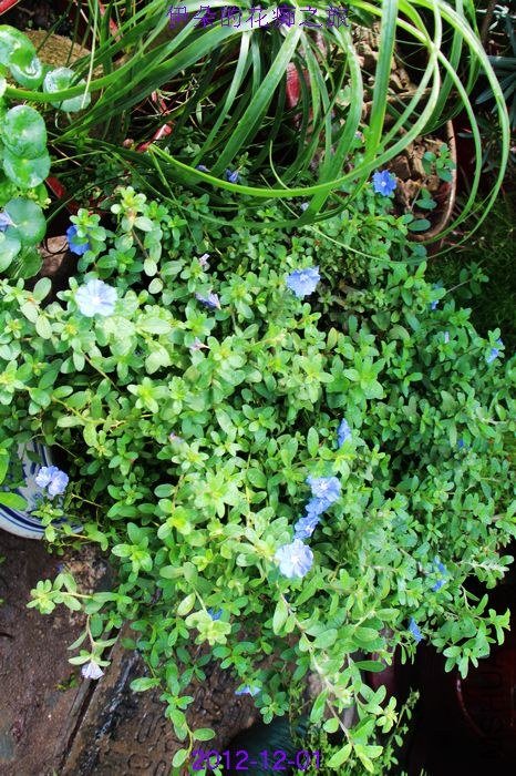 nEO_IMG_��Ƭ 156.jpg