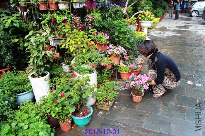 nEO_IMG_��Ƭ 157.jpg