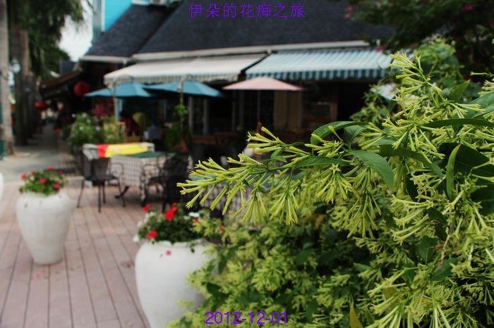 nEO_IMG_��Ƭ 297.jpg