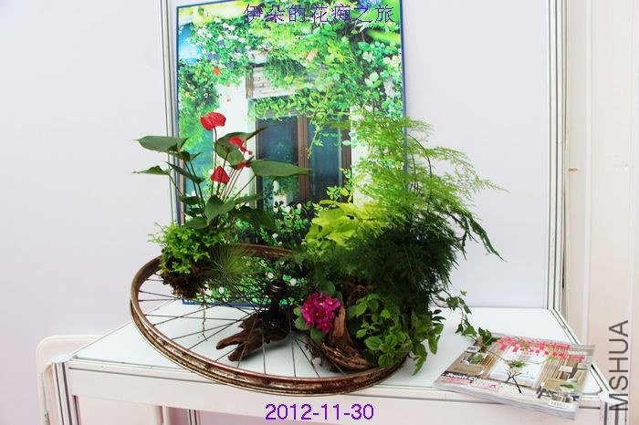 nEO_IMG_��Ƭ 109.jpg