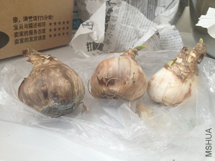 ��ˮ��*���