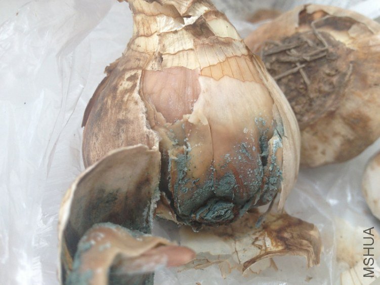 ��ˮ��*���