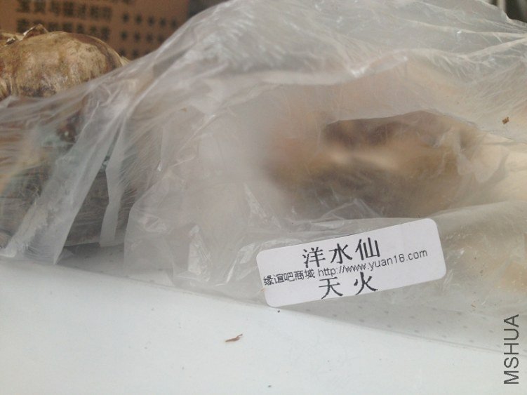 ��ˮ��*���