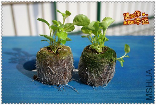 ��Ƭ 006_����.jpg