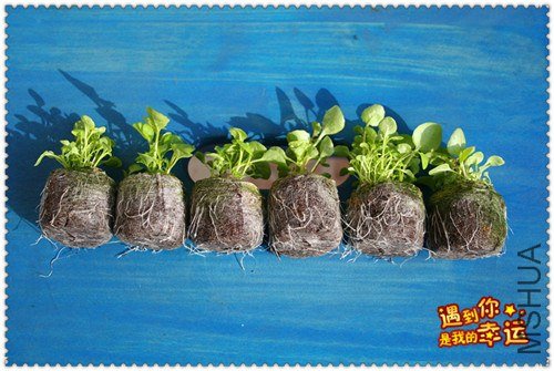 ��Ƭ 004_����.jpg