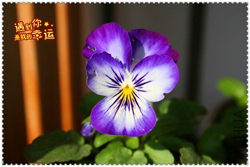 ��Ƭ 094_����.jpg