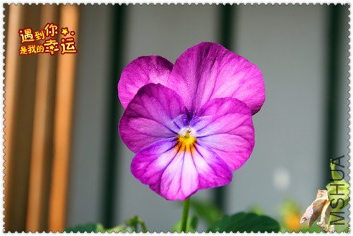 ��Ƭ 092_����.jpg