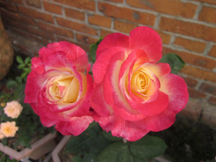 ��5.12 036_����.jpg