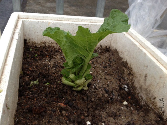 ����ͺͷ��