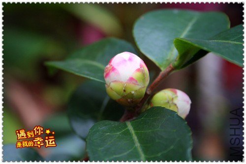 ��Ƭ 007_����.jpg