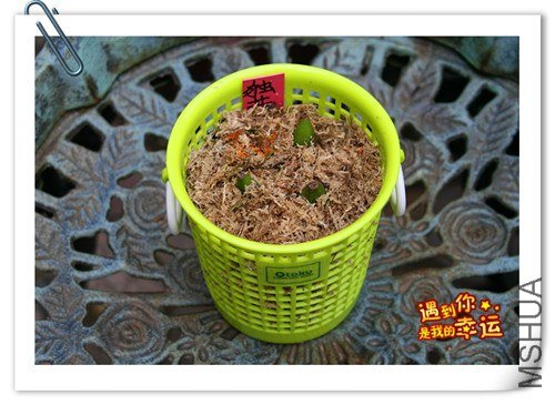 ��Ƭ 024_����.jpg