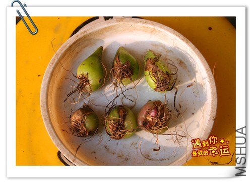 ��Ƭ 022_����.jpg