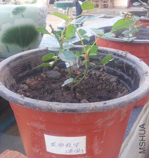20121203_173918_����.jpg