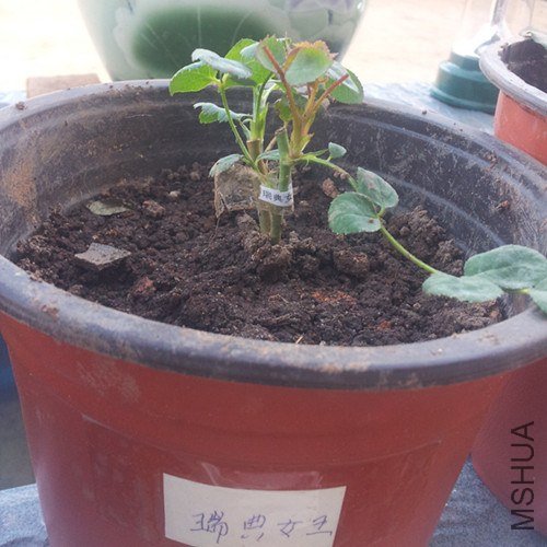 20121203_173927_����.jpg