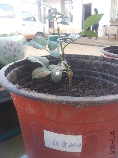 20121203_173935_����.jpg