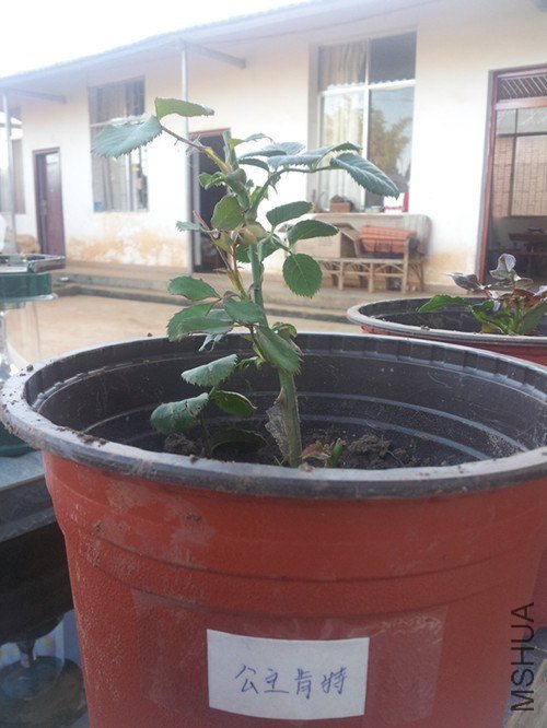20121203_173943_����.jpg