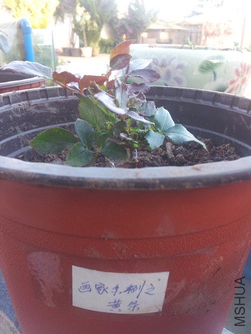 20121203_174006_����.jpg