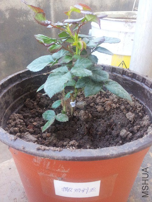 20121203_174041_����.jpg