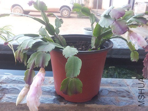 20121203_174105_����.jpg