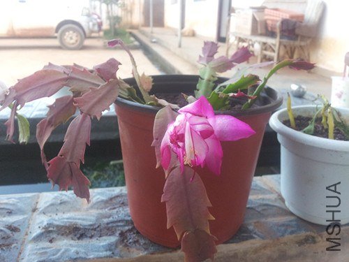 20121203_174117_����.jpg
