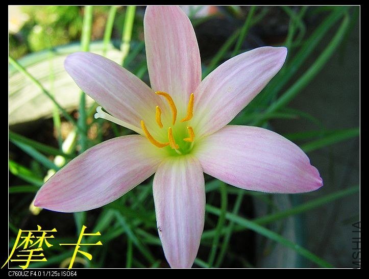 22��Z.Prairie Sunset.jpg