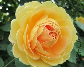 7C28BF02_����.jpg