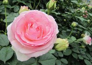 2602EC0A_����.jpg