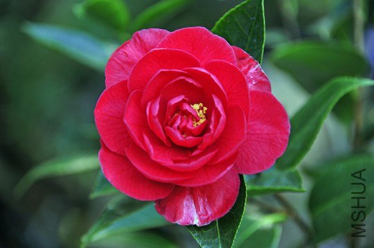 _DSC8064_SS_edited-1.jpg