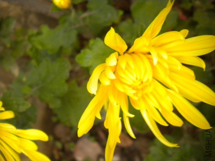 DSCN4079.jpg
