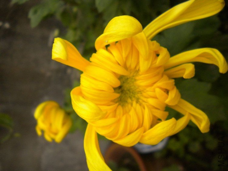 DSCN4068.jpg