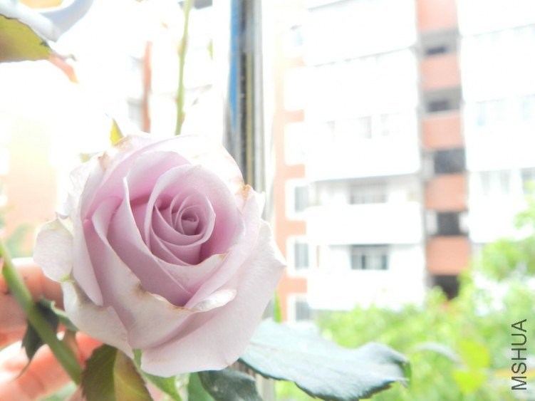 DSCN3353 (����).JPG