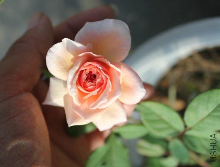 2012-12-04_212256.jpg