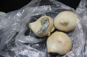 ��Ƭ 265_����.jpg