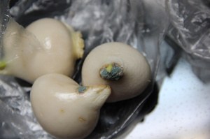 ��Ƭ 263_����.jpg