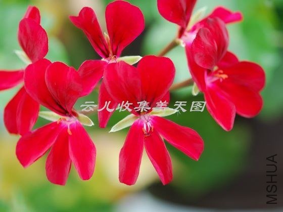 April Hamilton 01.jpg