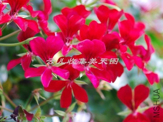 April Hamilton 02.jpg