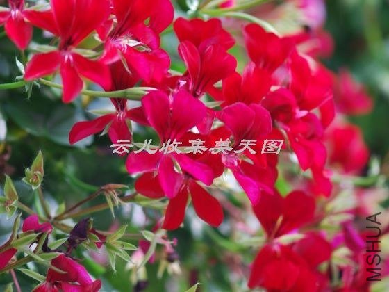 April Hamilton 04.jpg