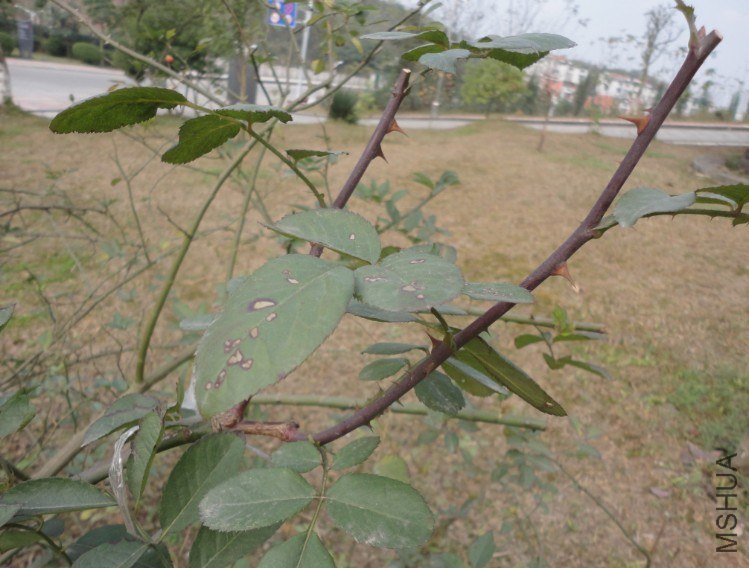 P344%PFR}3W)3APA5`%FY.jpg