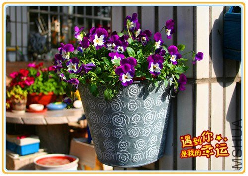 ��Ƭ 007_����.jpg