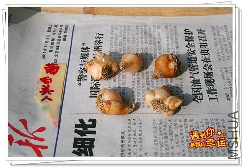 ��Ƭ 024_����.jpg