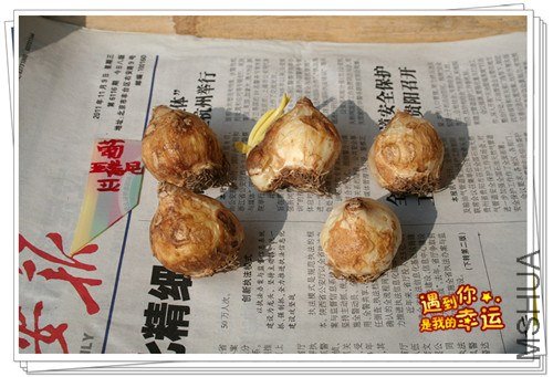 ��Ƭ 012_����.jpg