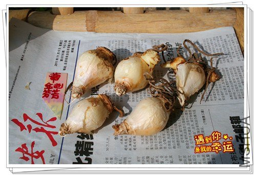 ��Ƭ 014_����.jpg