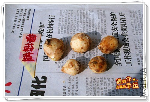 ��Ƭ 015_����.jpg