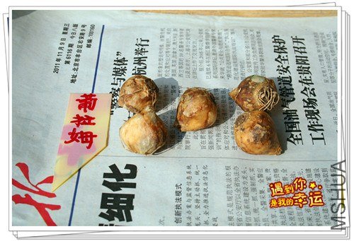 ��Ƭ 017_����.jpg