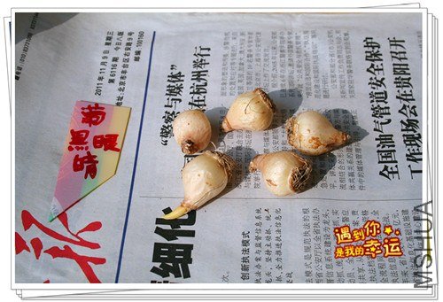 ��Ƭ 019_����.jpg