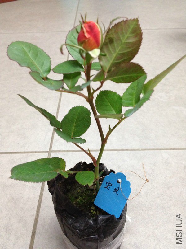 20 ��������.jpg